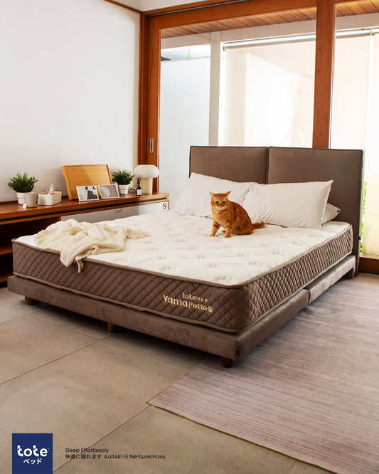 Kasur Anti Cakar Kucing: Solusi Nyaman untuk Pemilik Anabul