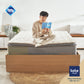 Tote Yama EuroLatex | Kasur Pocket Spring Bed Pillow Top Vacuum Dalam Box