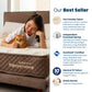 Tote Yama Petto | Kasur Pet Friendly Pocket Spring Bed